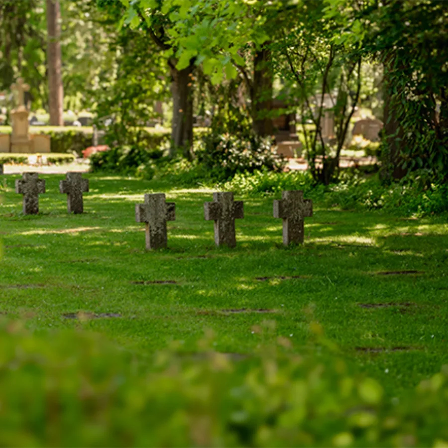 Ruhiger Friedhof mit Bäumen und Grabkreuzen
